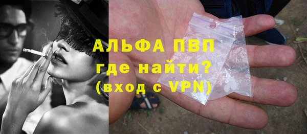 стаф Карпинск