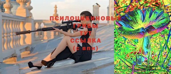 стаф Карпинск