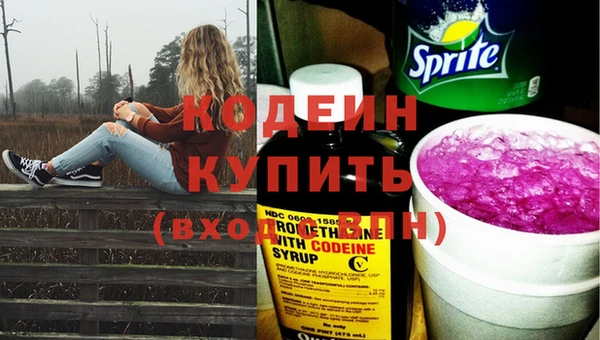 индика Сатка