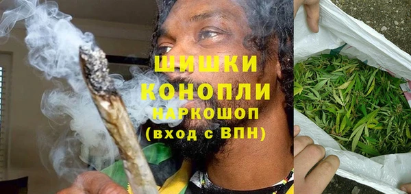 стаф Карпинск