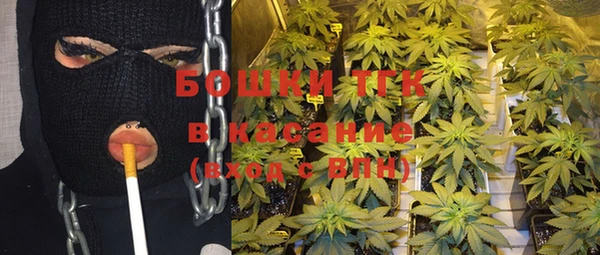 стаф Карпинск