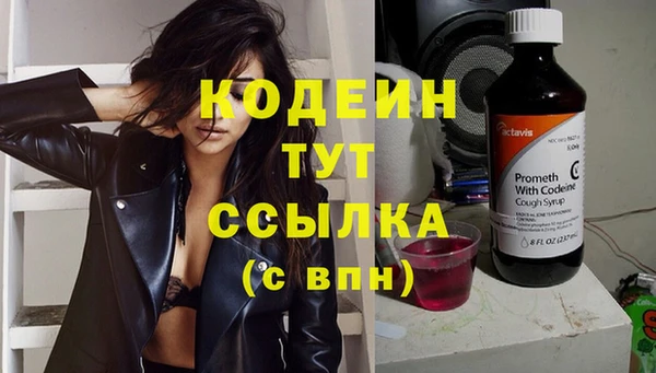 стаф Карпинск