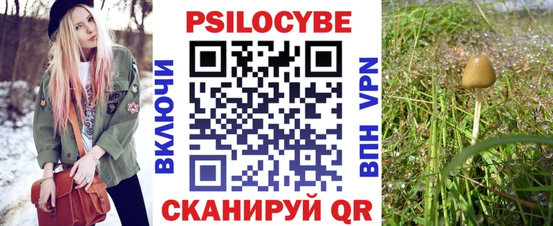 Купить закладки  Асбест  Галлюциногенные грибы мухоморы 